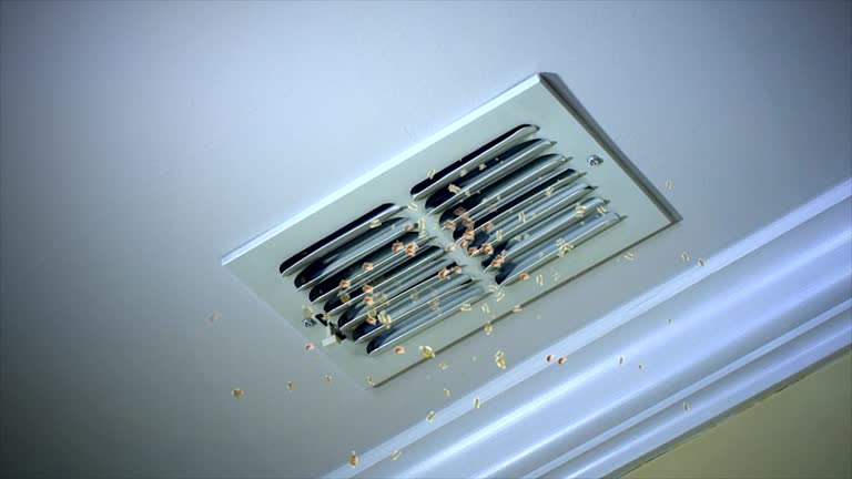 Best Ventilation Cleaning Services  in Kokomo, IN