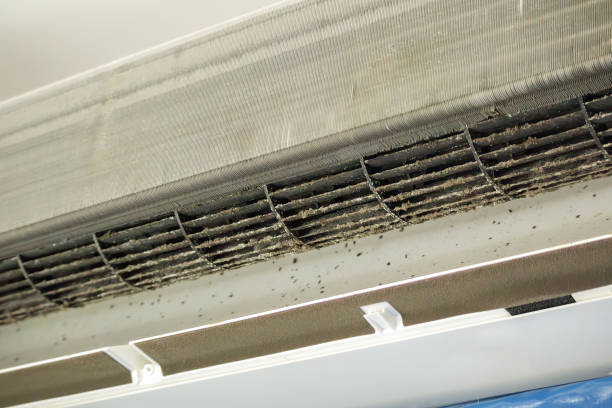 Best Affordable Air Duct Cleaning  in Kokomo, IN